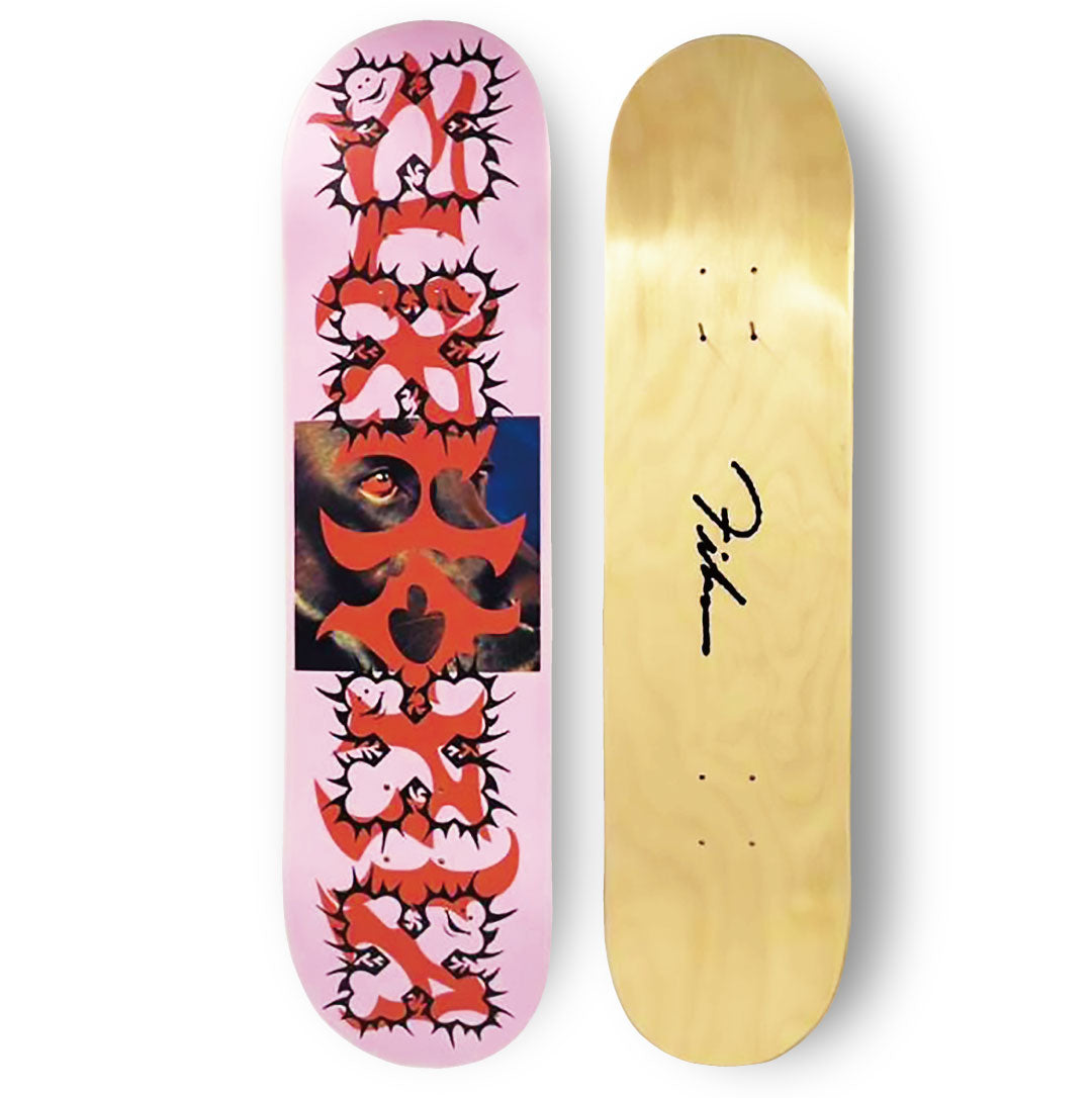 【 Collaboration 】FIKAS