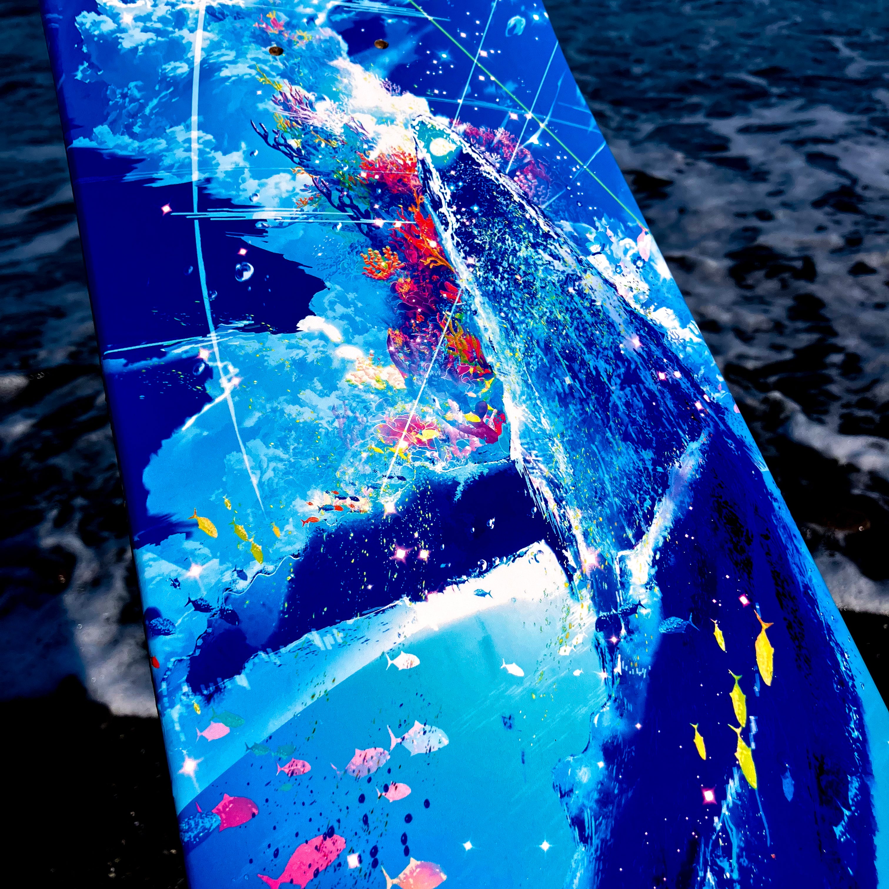 Collaboration 】まころん