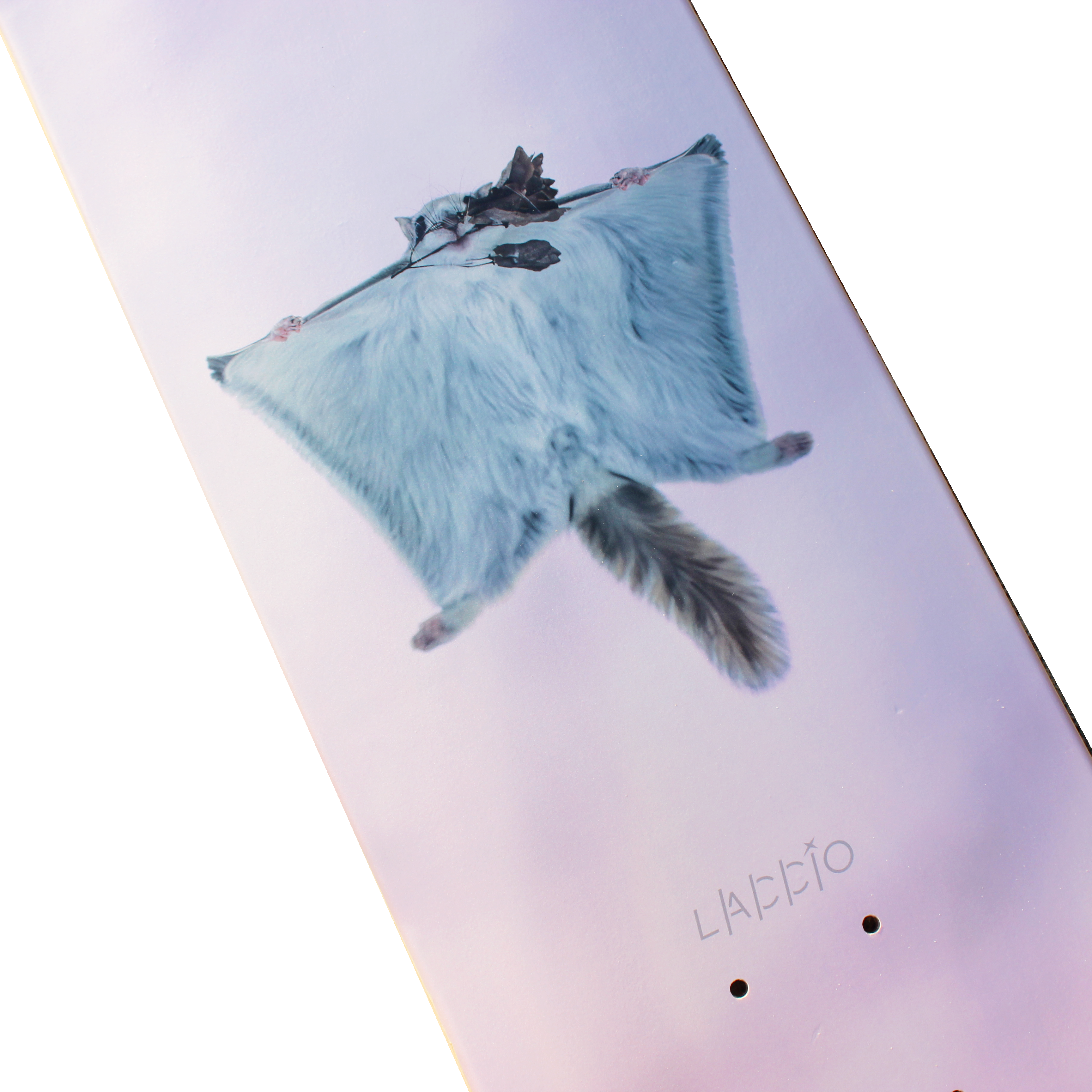 【 DESIGN FESTA vol.62 】佐藤 章